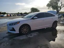 5NPE24AF4KH809565 2019 HYUNDAI SONATA