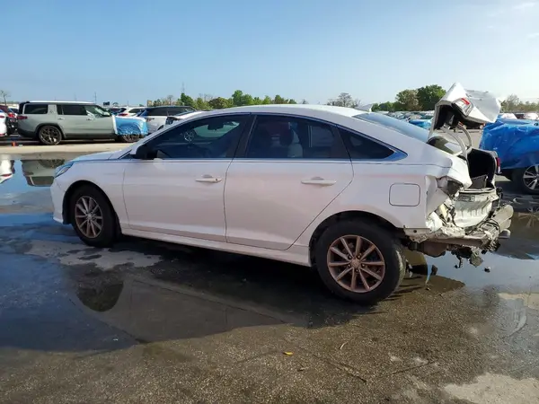 5NPE24AF4KH809565 2019 HYUNDAI SONATA - Image 2