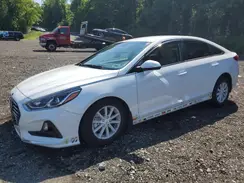 5NPE24AF4KH810828 2019 HYUNDAI SONATA