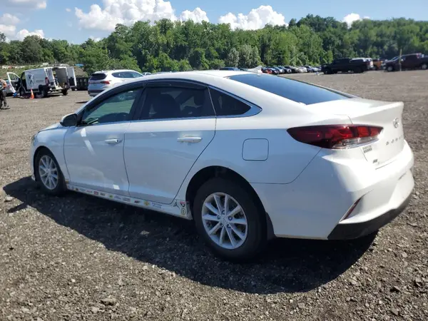 5NPE24AF4KH810828 2019 HYUNDAI SONATA - Image 2