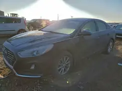 5NPE24AF4KH811381 2019 HYUNDAI SONATA