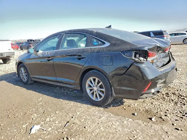 5NPE24AF4KH811381 2019 HYUNDAI SONATA - Image 2