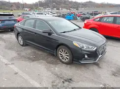 5NPE24AF4KH811512 2019 HYUNDAI SONATA