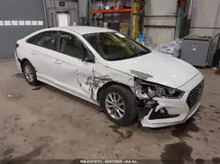 5NPE24AF4KH812403 2019 HYUNDAI SONATA