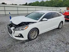 5NPE24AF4KH813034 2019 HYUNDAI SONATA