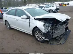 5NPE24AF4KH813504 2019 HYUNDAI SONATA