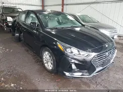 5NPE24AF4KH818380 2019 HYUNDAI SONATA