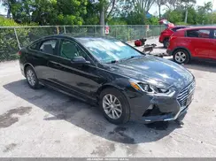 5NPE24AF4KH819500 2019 HYUNDAI SONATA