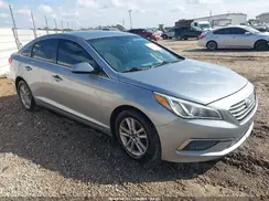5NPE24AF5GH260546 2016 HYUNDAI SONATA