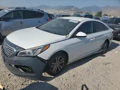 5NPE24AF5GH262443 2016 HYUNDAI SONATA