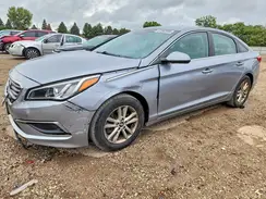 5NPE24AF5GH271823 2016 HYUNDAI SONATA