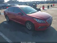 5NPE24AF5GH272390 2016 HYUNDAI SONATA