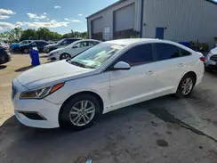 5NPE24AF5GH279839 2016 HYUNDAI SONATA