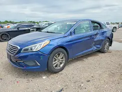 5NPE24AF5GH281879 2016 HYUNDAI SONATA