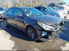 5NPE24AF5GH293482 2016 HYUNDAI SONATA