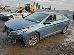 5NPE24AF5GH295863 2016 HYUNDAI SONATA