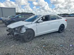 5NPE24AF5GH300303 2016 HYUNDAI SONATA