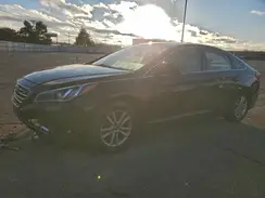 5NPE24AF5GH307428 2016 HYUNDAI SONATA