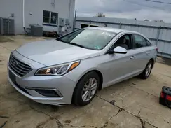 5NPE24AF5GH317473 2016 HYUNDAI SONATA