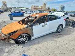 5NPE24AF5GH320888 2016 HYUNDAI SONATA