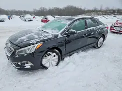 5NPE24AF5GH320969 2016 HYUNDAI SONATA