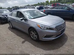 5NPE24AF5GH335486 2016 HYUNDAI SONATA