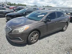 5NPE24AF5GH336217 2016 HYUNDAI SONATA