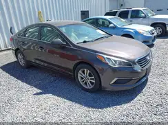 5NPE24AF5GH336220 2016 HYUNDAI SONATA