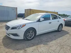 5NPE24AF5GH339263 2016 HYUNDAI SONATA
