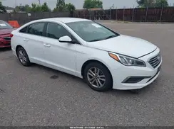 5NPE24AF5GH341465 2016 HYUNDAI SONATA