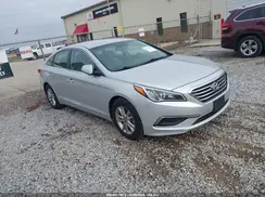 5NPE24AF5GH345385 2016 HYUNDAI SONATA