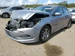 5NPE24AF5GH362526 2016 HYUNDAI SONATA