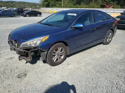 5NPE24AF5GH364535 2016 HYUNDAI SONATA