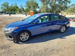 5NPE24AF5GH365524 2016 HYUNDAI SONATA