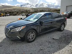 5NPE24AF5GH366415 2016 HYUNDAI SONATA