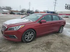 5NPE24AF5GH369573 2016 HYUNDAI SONATA