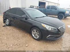 5NPE24AF5GH376507 2016 HYUNDAI SONATA