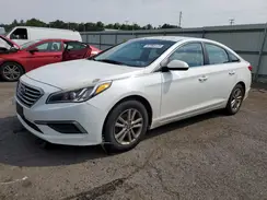 5NPE24AF5GH376698 2016 HYUNDAI SONATA