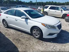 5NPE24AF5GH385062 2016 HYUNDAI SONATA