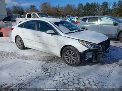 5NPE24AF5GH385997 2016 HYUNDAI SONATA