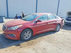 5NPE24AF5GH386700 2016 HYUNDAI SONATA