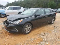 5NPE24AF5GH395445 2016 HYUNDAI SONATA
