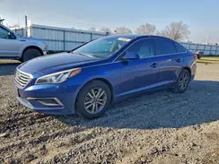 5NPE24AF5GH396594 2016 HYUNDAI SONATA