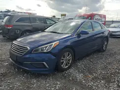 5NPE24AF5GH399981 2016 HYUNDAI SONATA