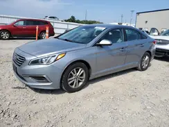5NPE24AF5GH406539 2016 HYUNDAI SONATA