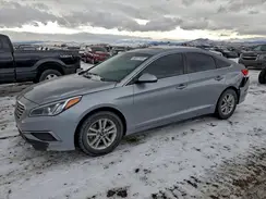 5NPE24AF5GH407559 2016 HYUNDAI SONATA