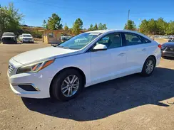 5NPE24AF5GH421445 2016 HYUNDAI SONATA