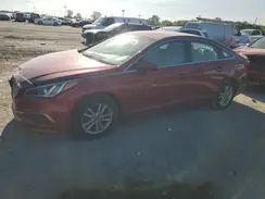 5NPE24AF5GH429397 2016 HYUNDAI SONATA