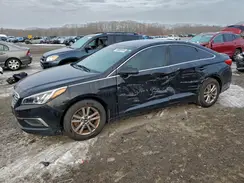 5NPE24AF5HH442197 2017 HYUNDAI SONATA