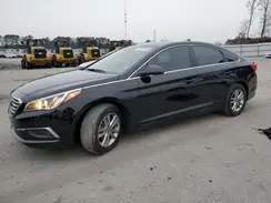 5NPE24AF5HH445987 2017 HYUNDAI SONATA